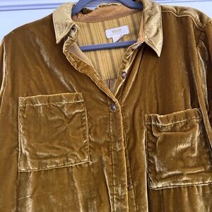 Anthropologie Marge Crushed Velvet Goldish/Green Blouse